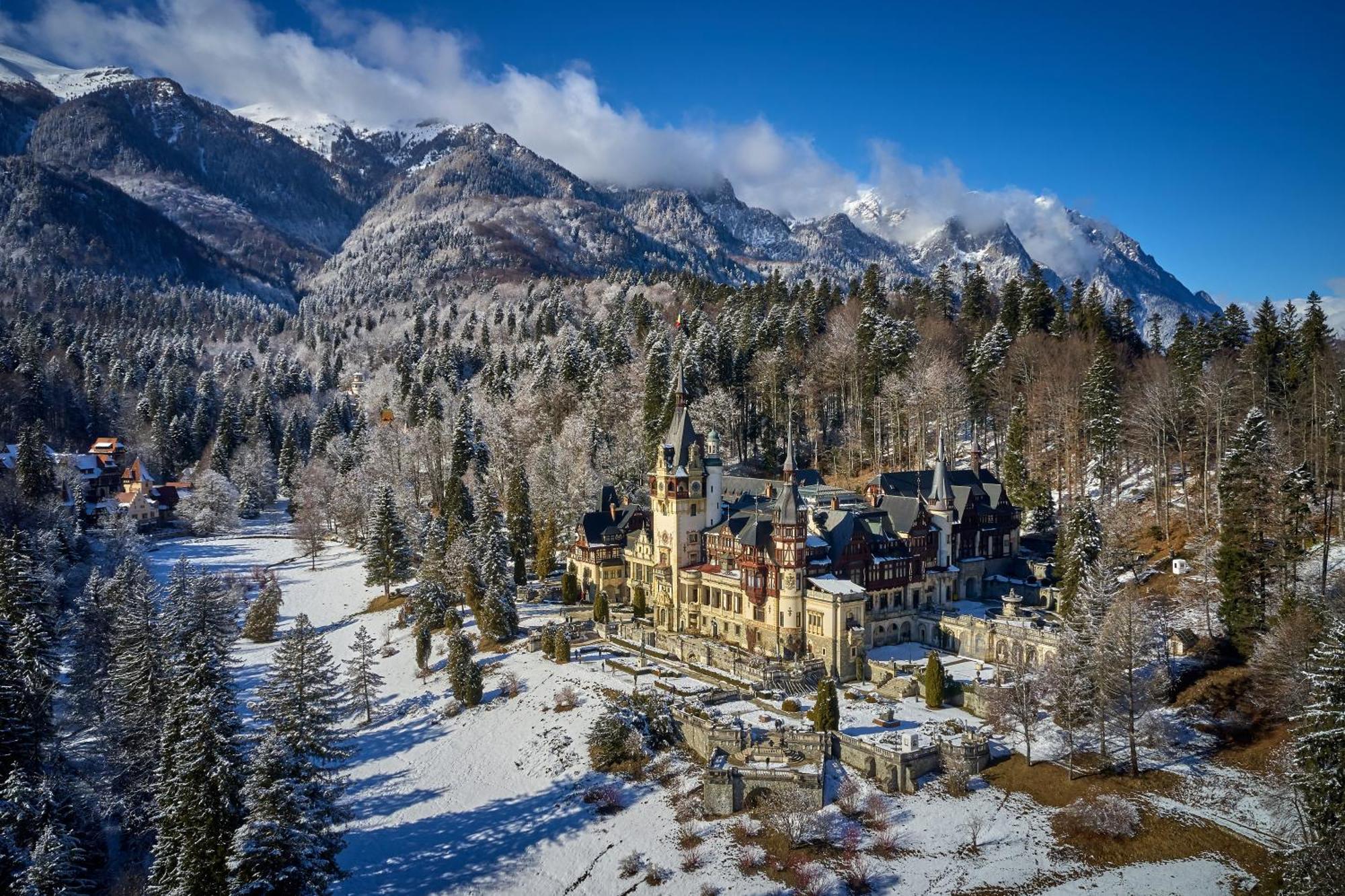 The Cozy Deer Apartment Sinaia Esterno foto