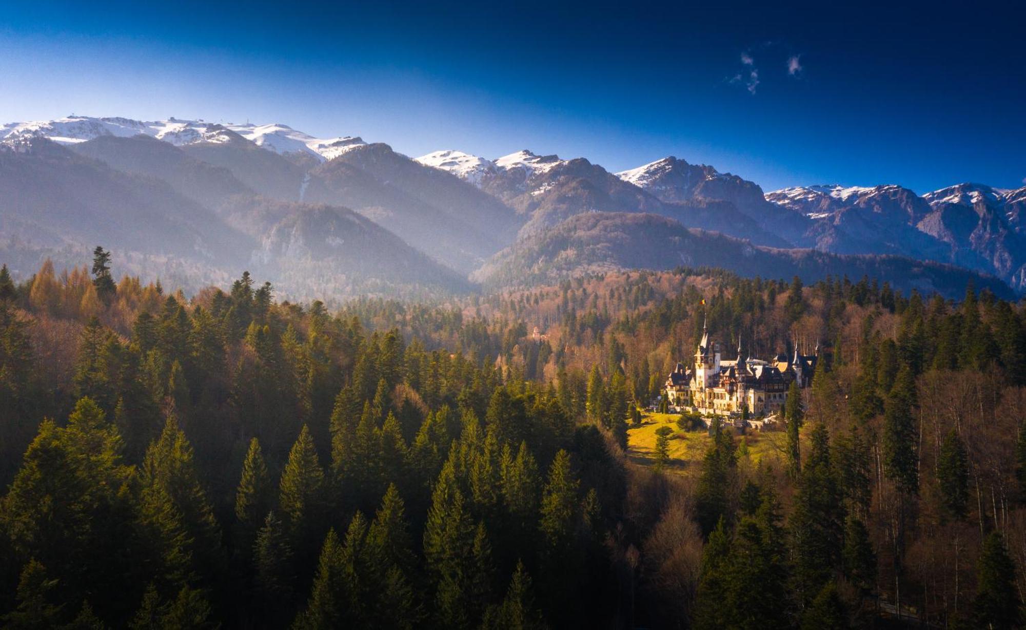 The Cozy Deer Apartment Sinaia Esterno foto